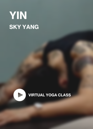 yin-sky-1.png