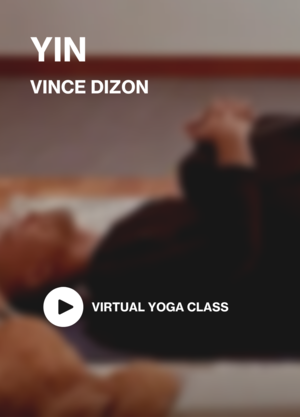 yin-vince-1.png