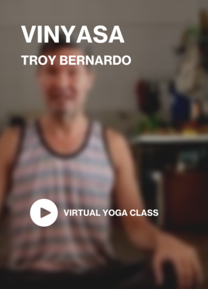 vinyasa-troy.png