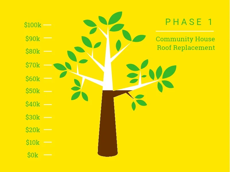 Planting a Seed Campaign, Phase 1