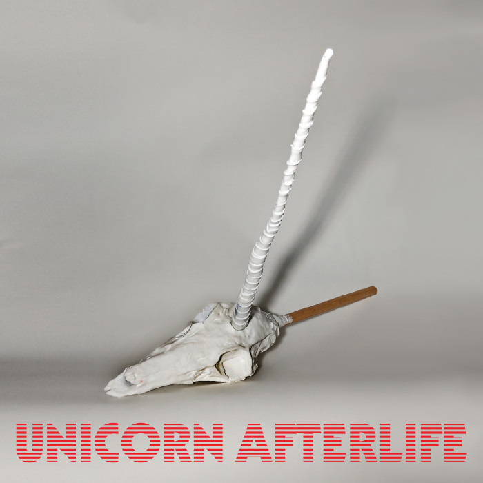 Unicorn-Afterlife.jpg