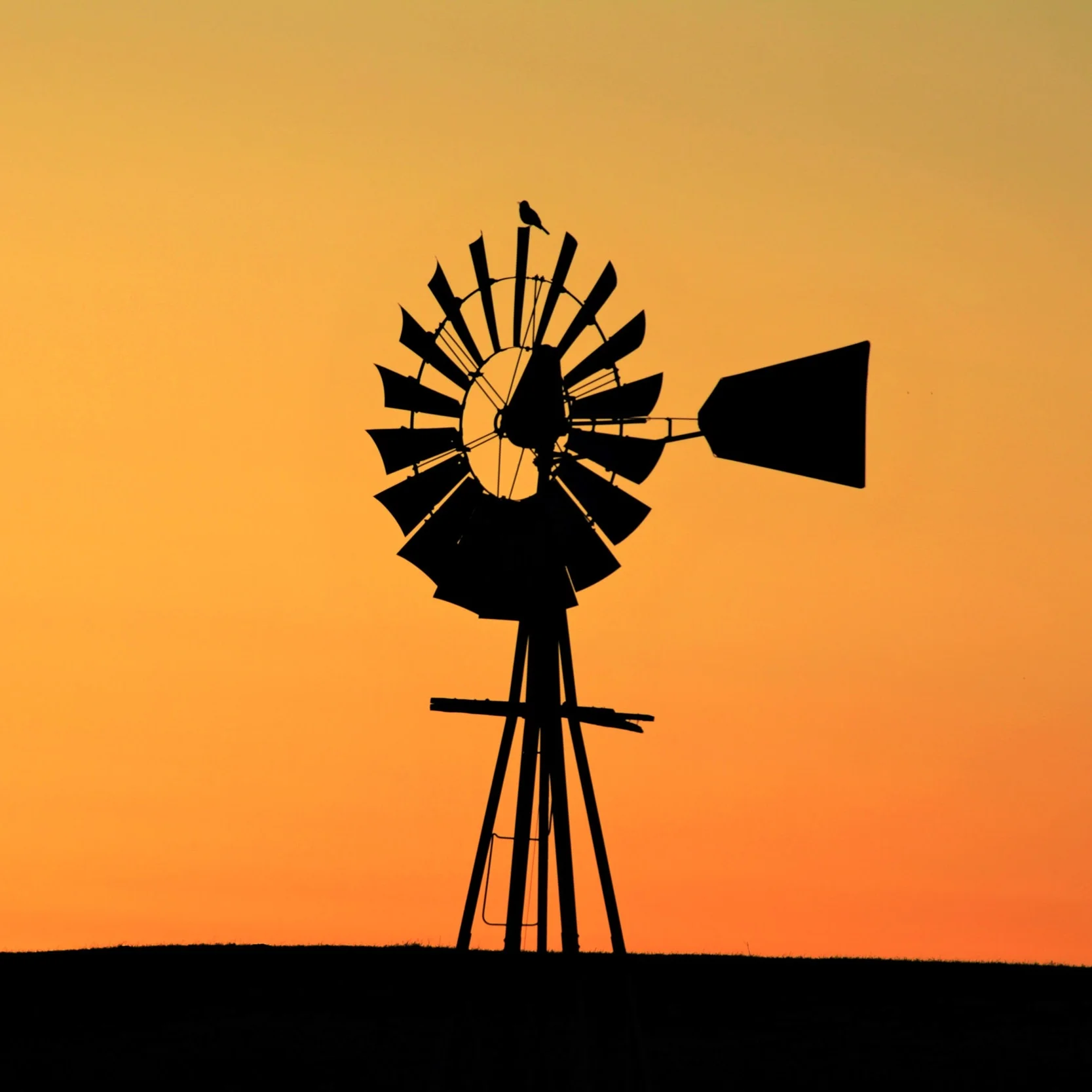 MichaelGallowayWildwoodsays