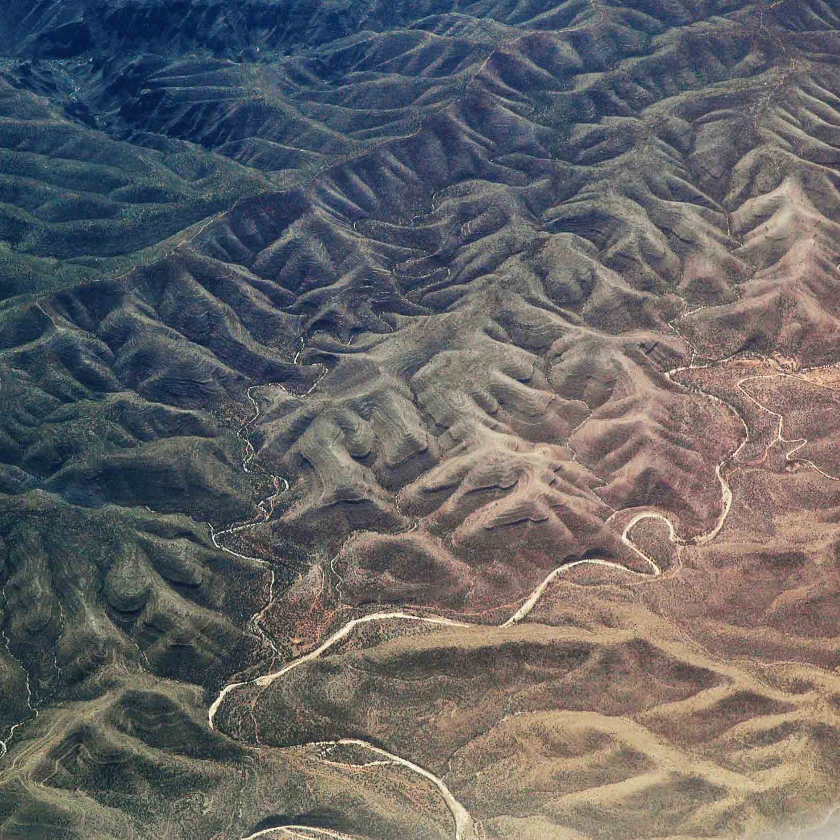 MichaelGallowayWildwoodsays