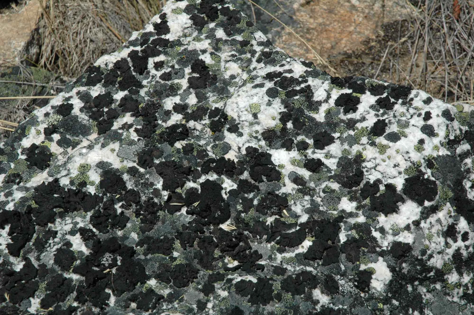 Rocks