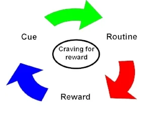 habit.jpg