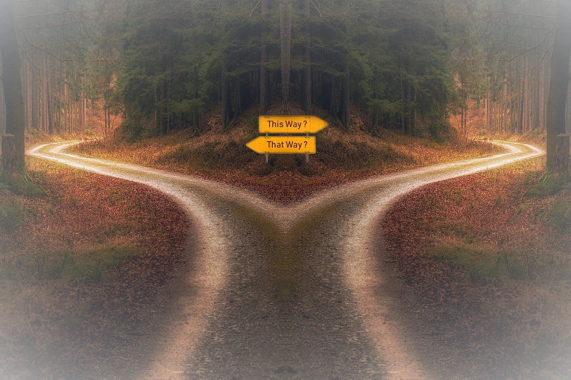 Are You Following Your Inner Compass? — Align Within
