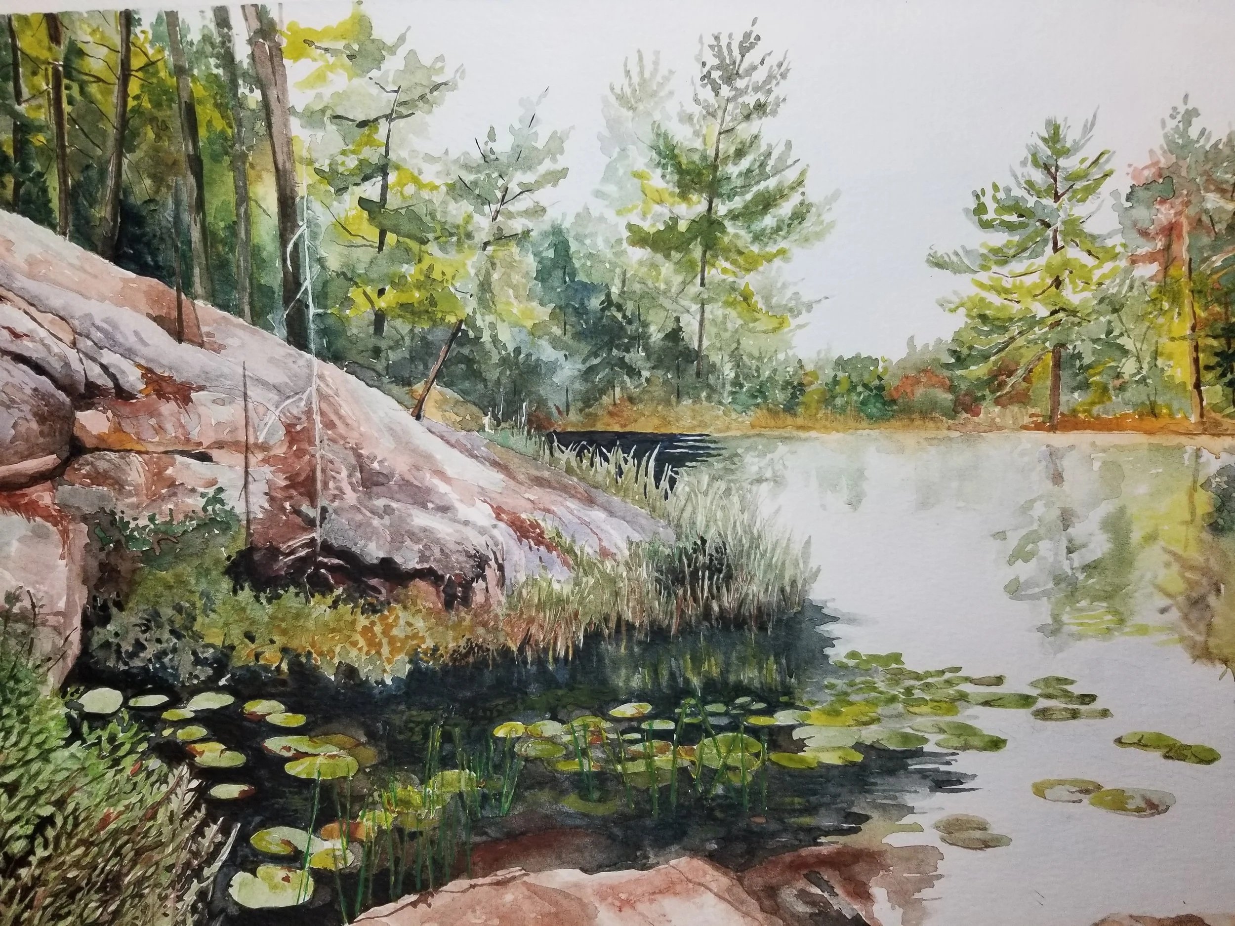 Cranberry Bog Trail (SOLD)