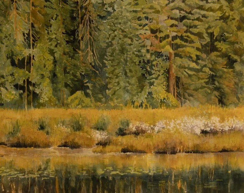 01_Williamson_Algonquin_Watercolour_14x20_2023.jpg