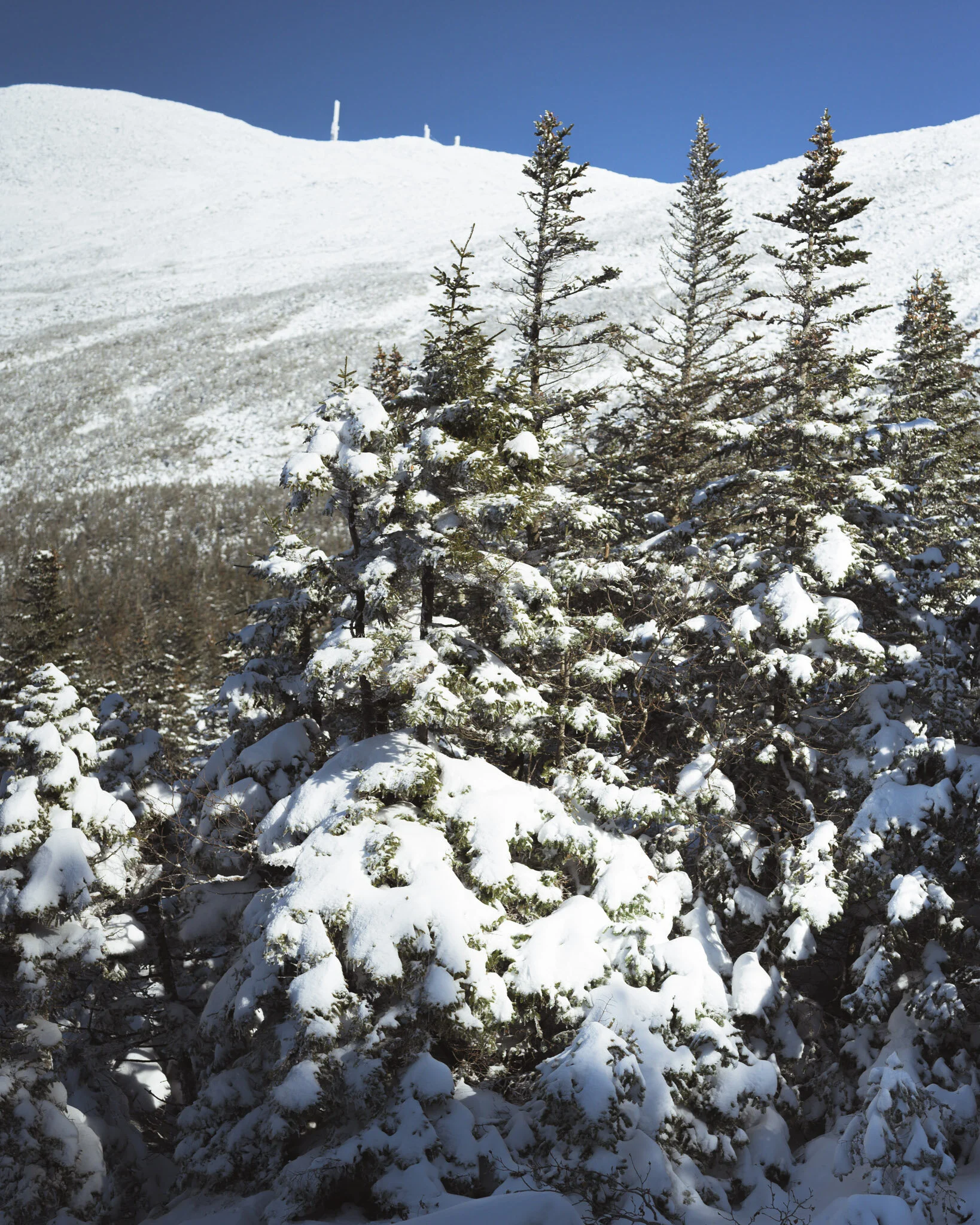 Tannan-9316.jpg