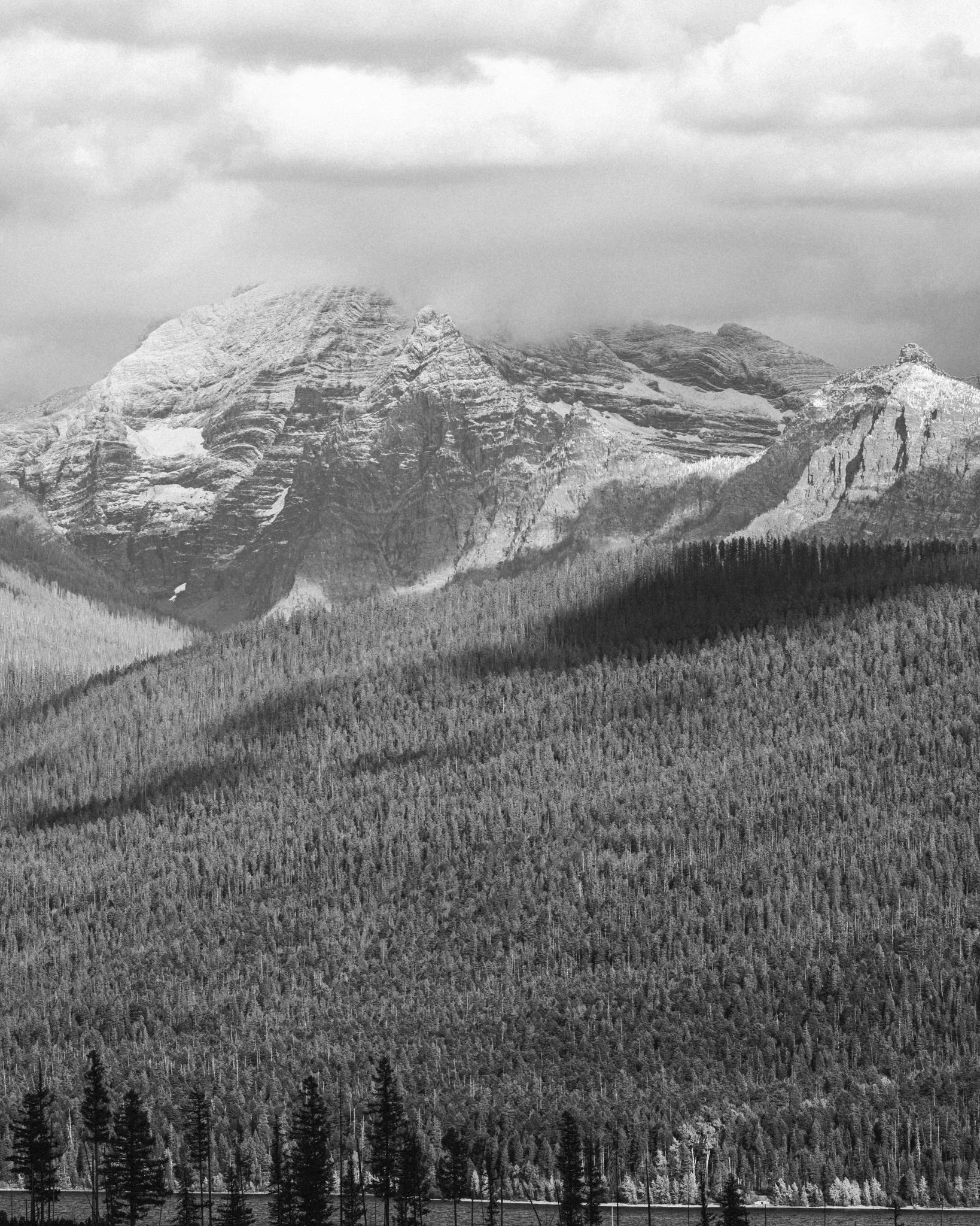 TMF-0045.jpg