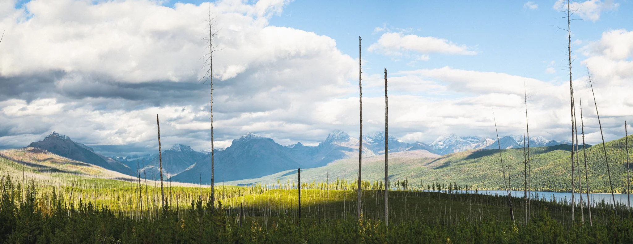 TMF-.jpg