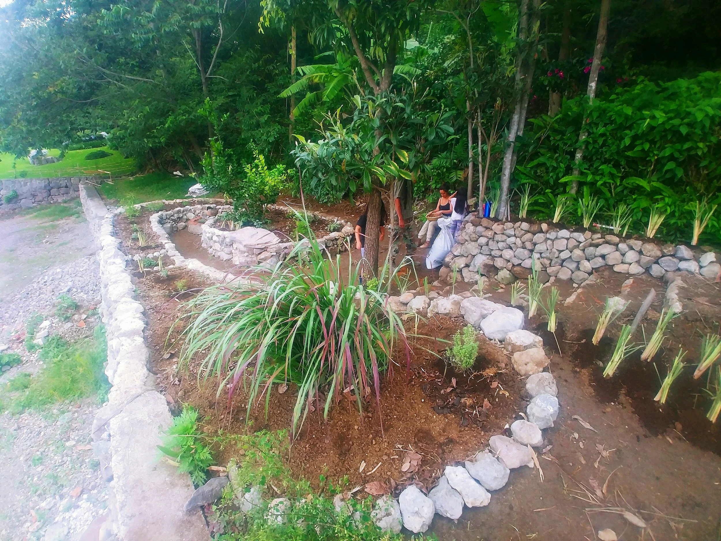 20190615_174736.jpg