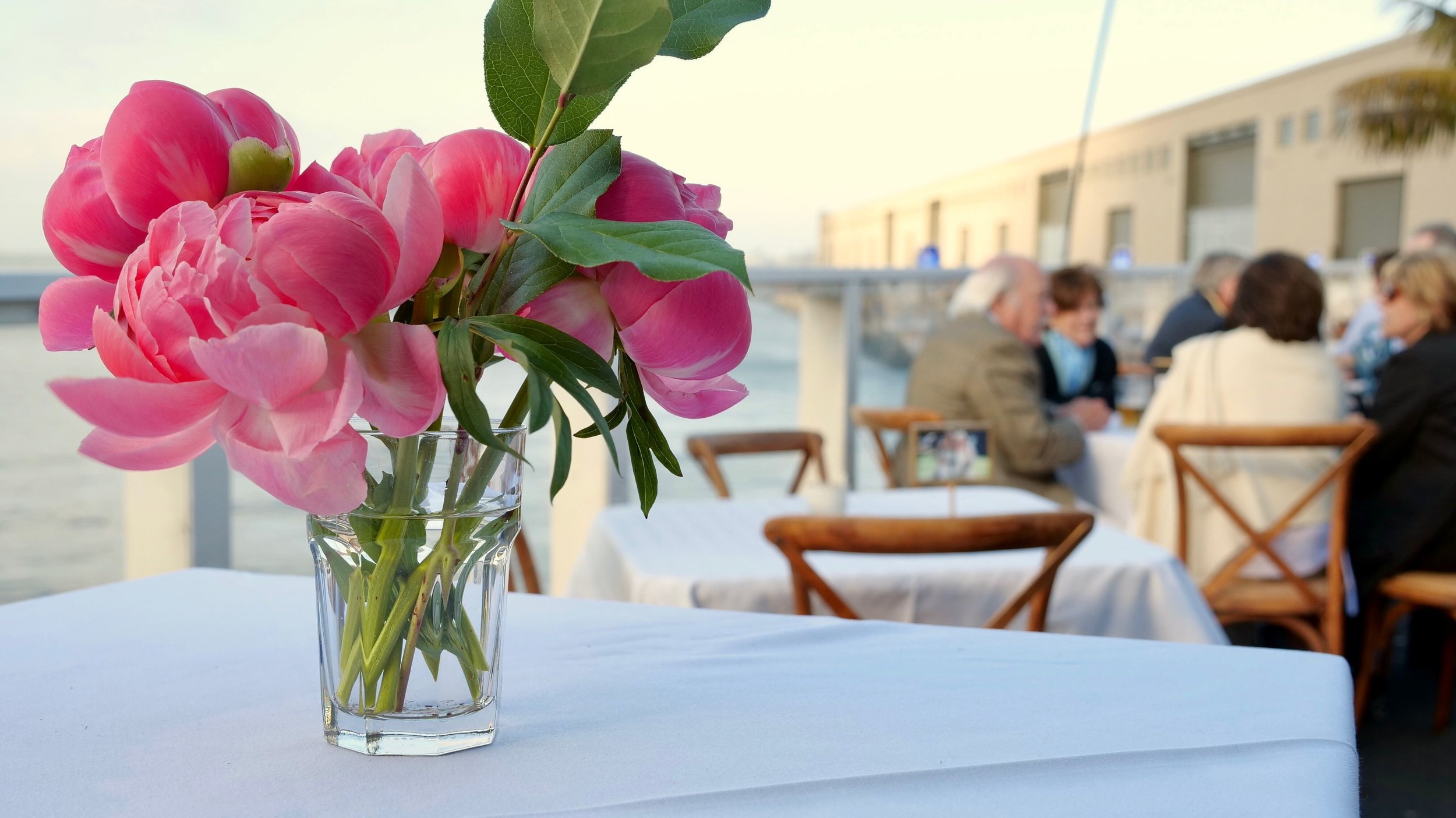 Peonies and Party.jpeg