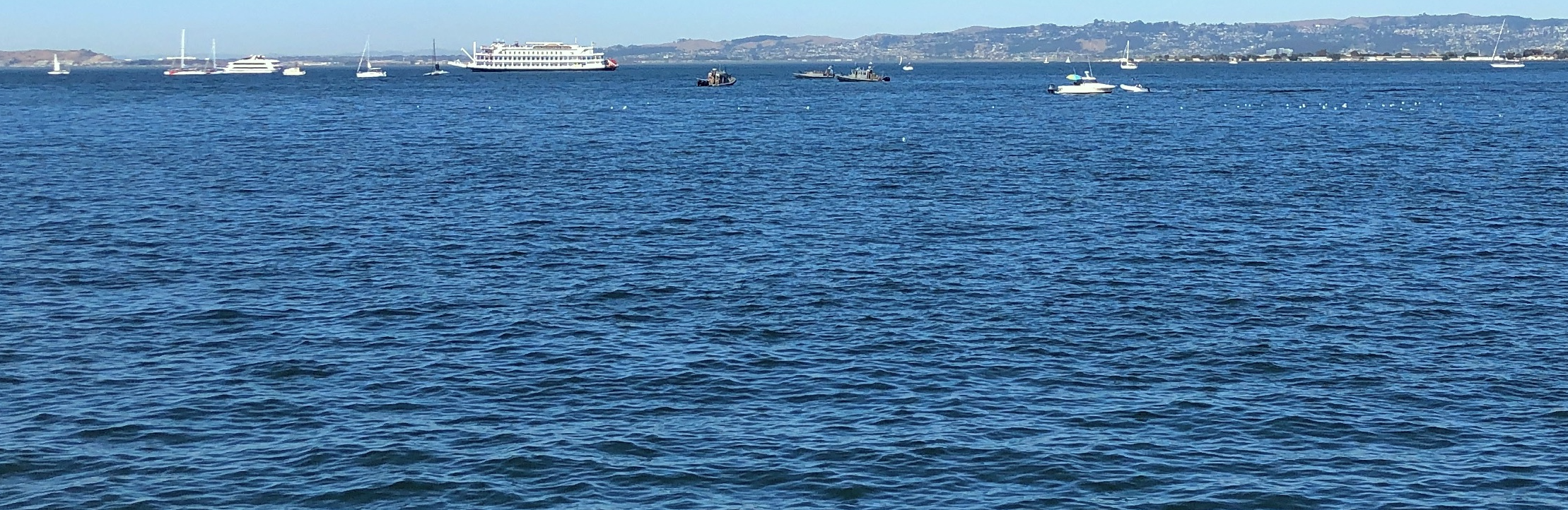 water_view_2 copy 2.png