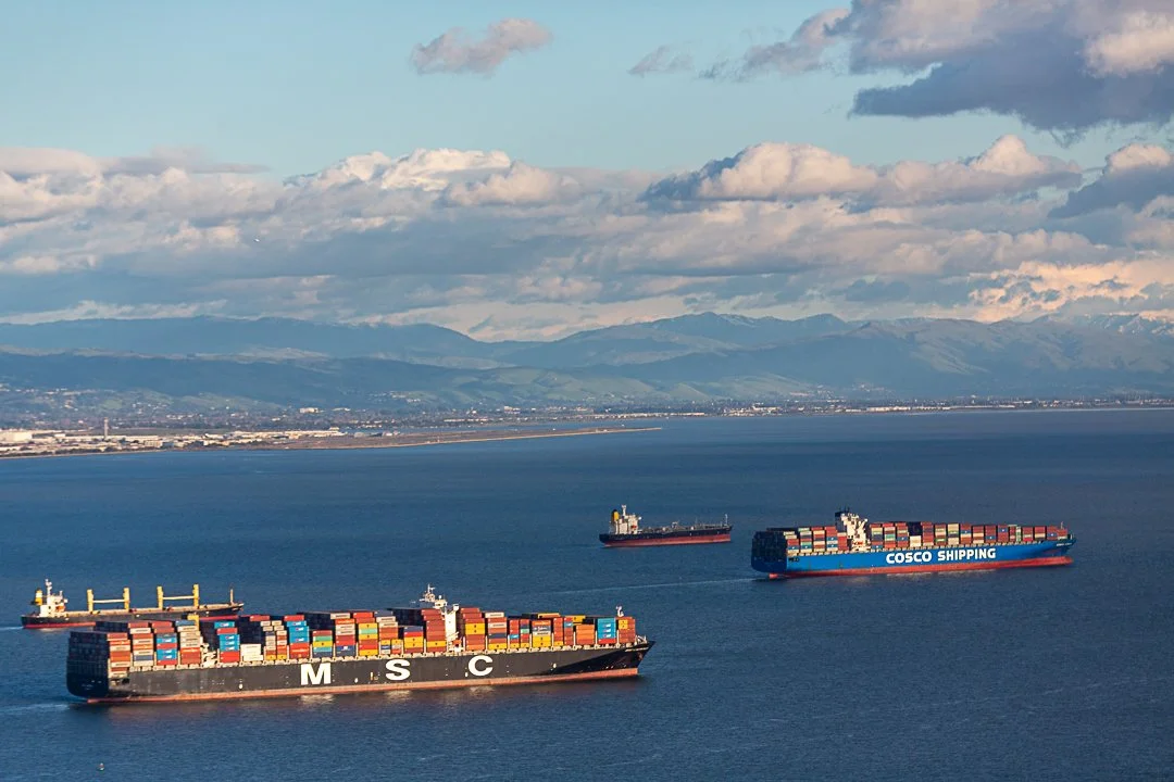 Pablo Fernicola - Hidden in Plain View