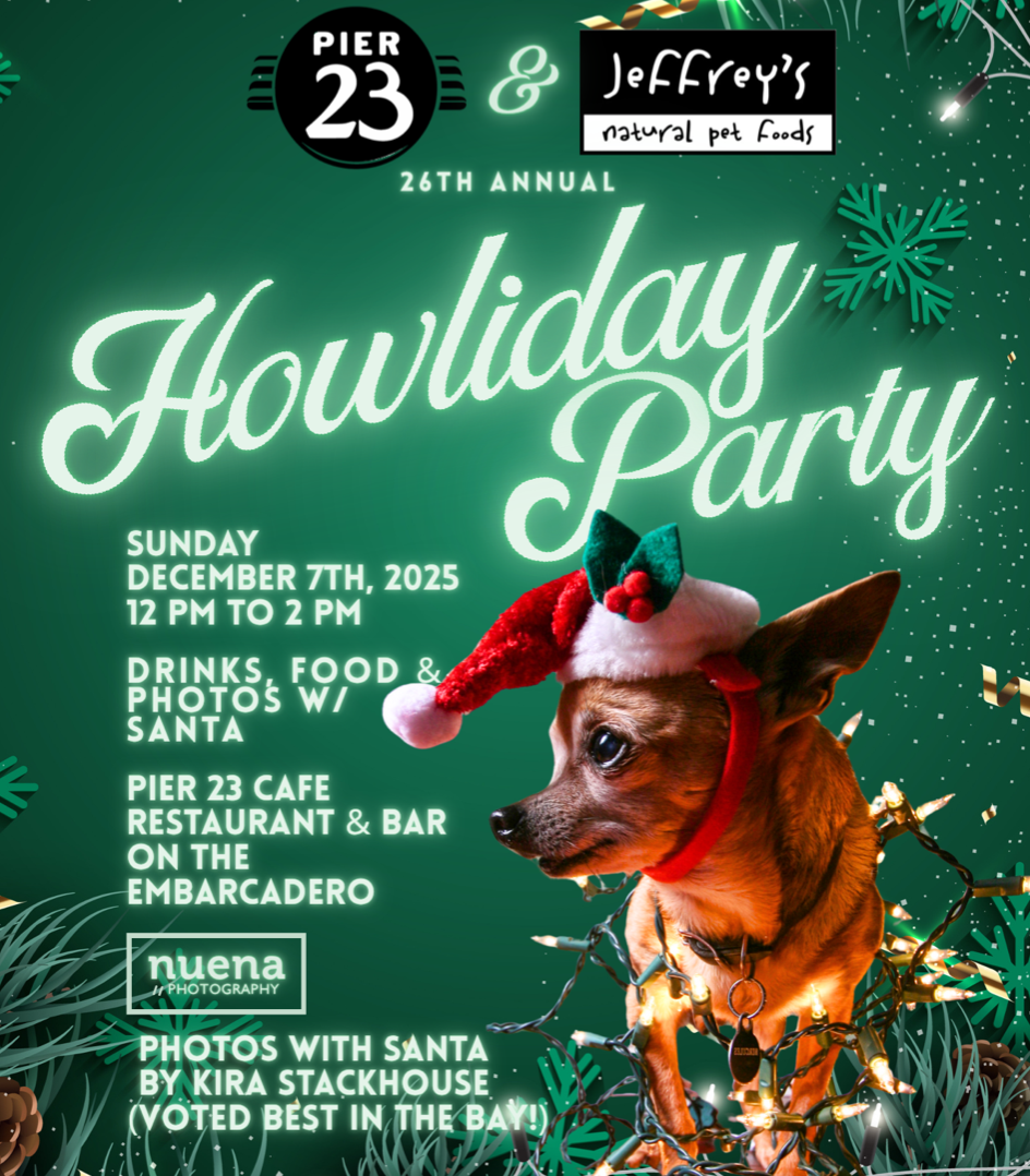 Jeffrey's &amp; Pier 23 Howliday Party!  Pet &amp; Family Holiday Photos with Santa