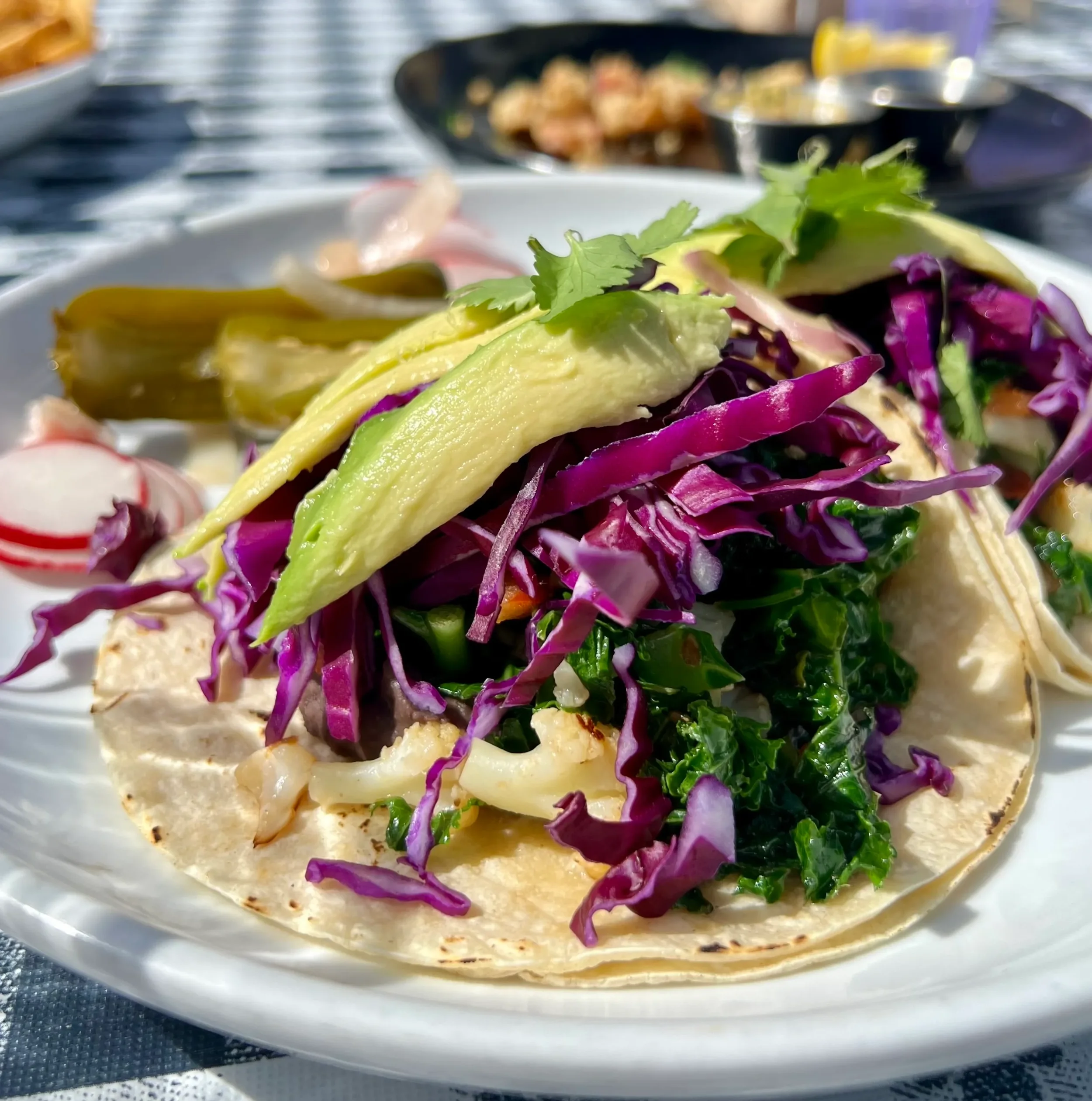 Close-up of a taco with purple cabbage, sliced avocado, cilantro, and other vegetables on a white plate.