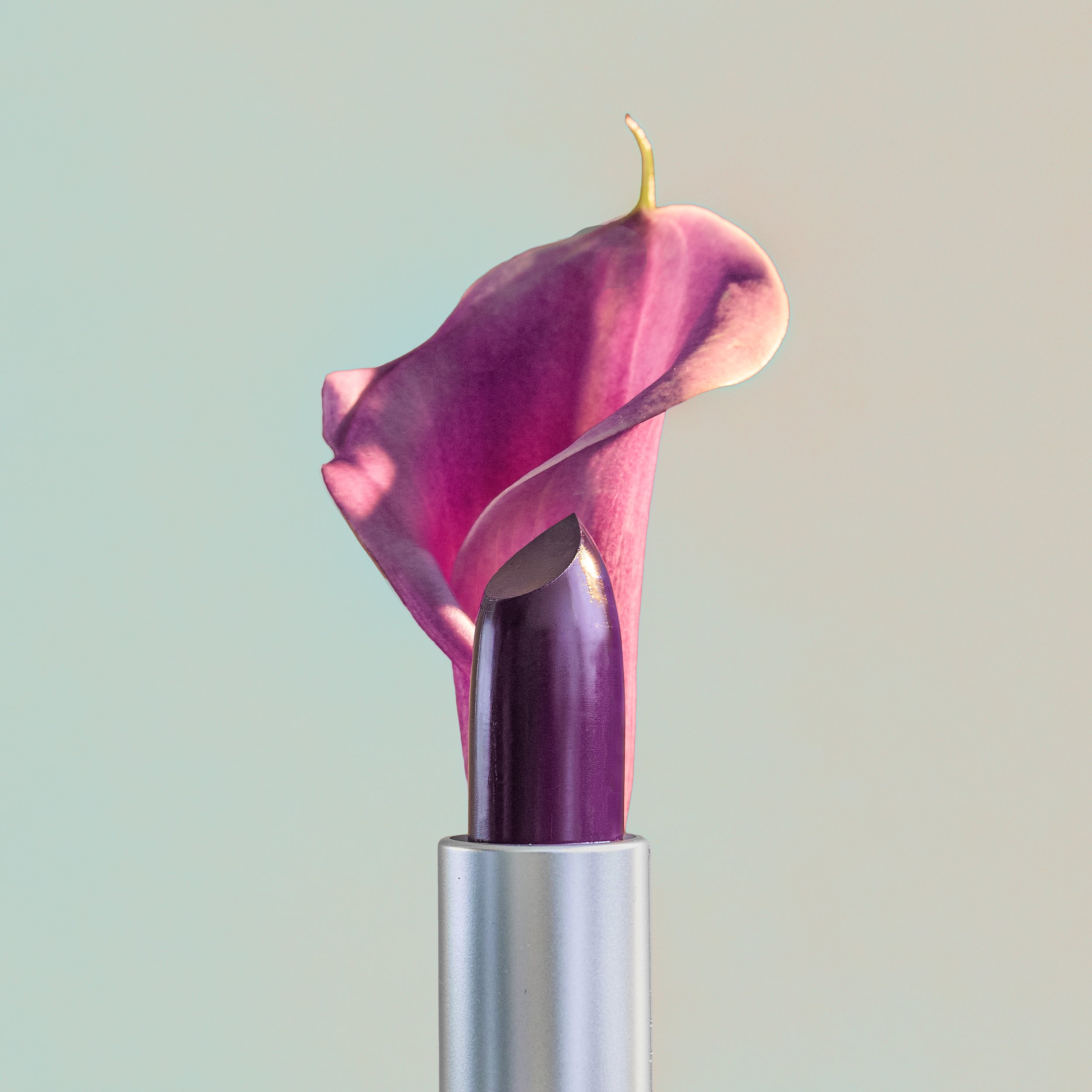 260412_Test-Flowers__TEST_0075_COMP.jpg