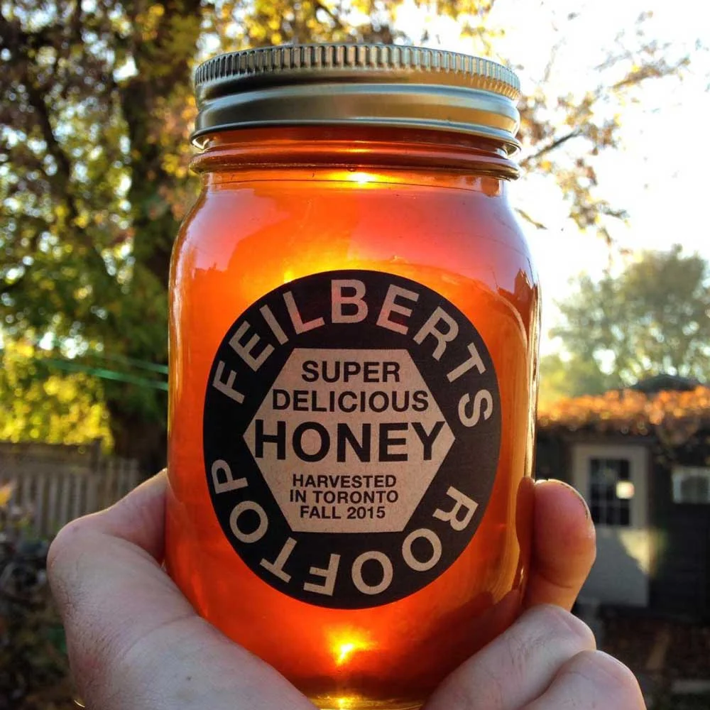 bees-honey.jpg