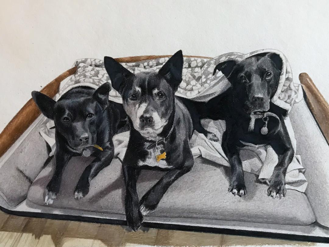 3 dogs portrait.jpg