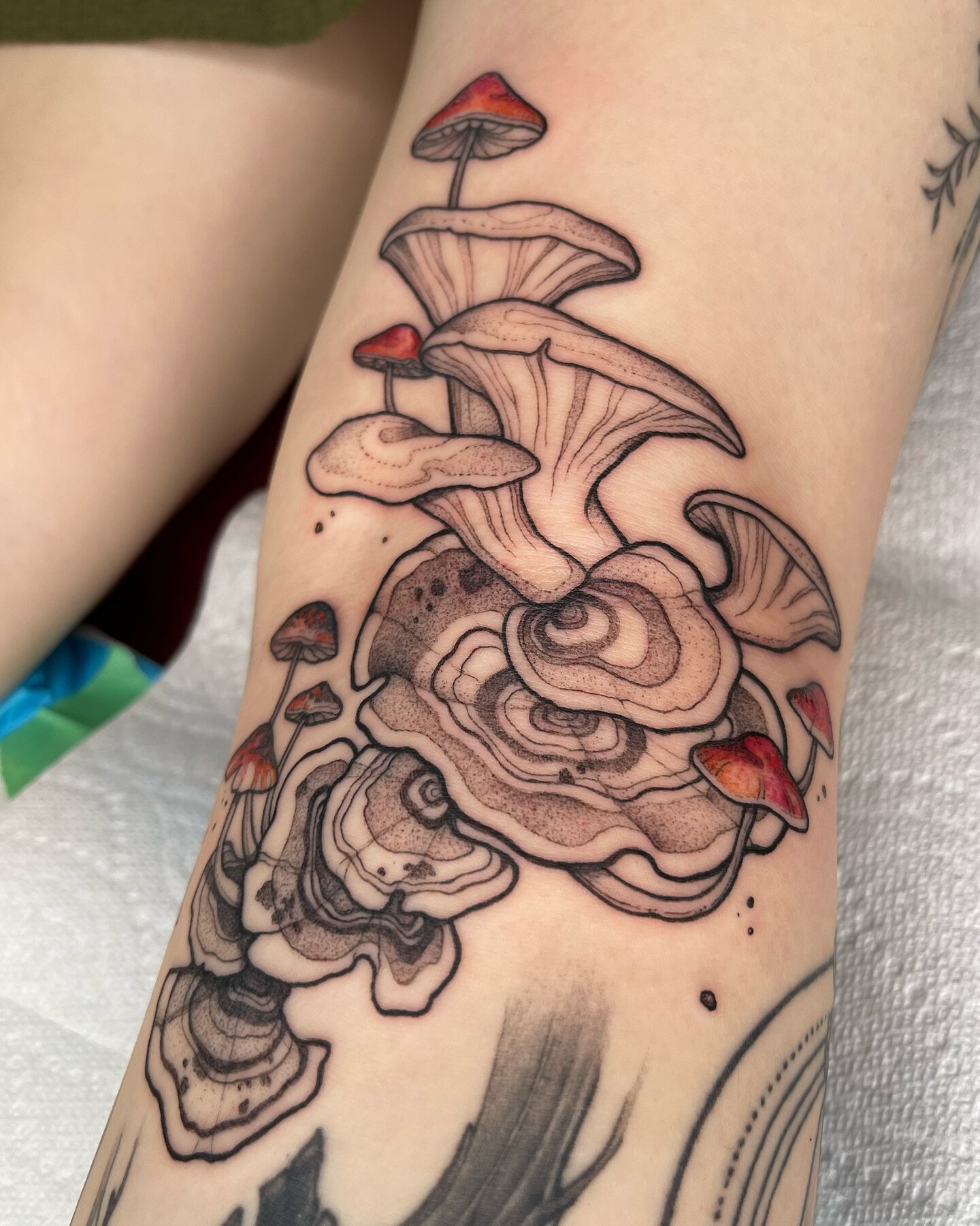 Details on Serena&rsquo;s turkeytail and oyster mushmush, with some jaunty little red ones thrown in. Thank you Serena for enduring the knee ditch like an absolute champion. Done in Vancouver with @apotheosis.club 
&bull;
&bull;
&bull;
&bull;
&bull;
