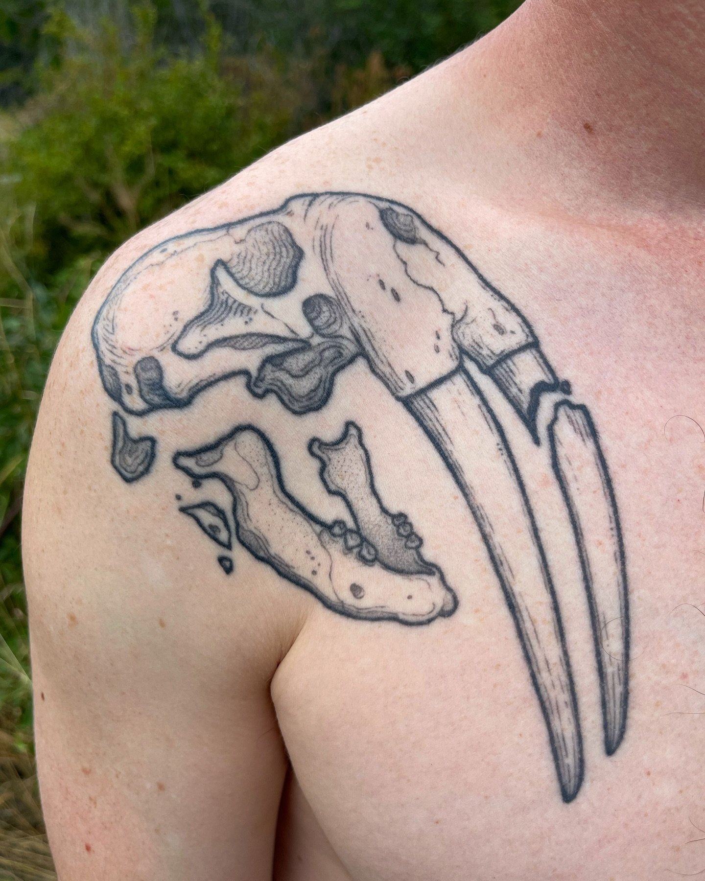 2 years healed on some redneck I know. Anyone recognize what animal this is?
&bull;
&bull;
&bull;
&bull;
&bull;
#skulltattoo #animalskull #skull #bctattooartist #dotworktattoodesign #healedtattoowork #customtattoodesign #lineworktattoo #tattoo #tatto