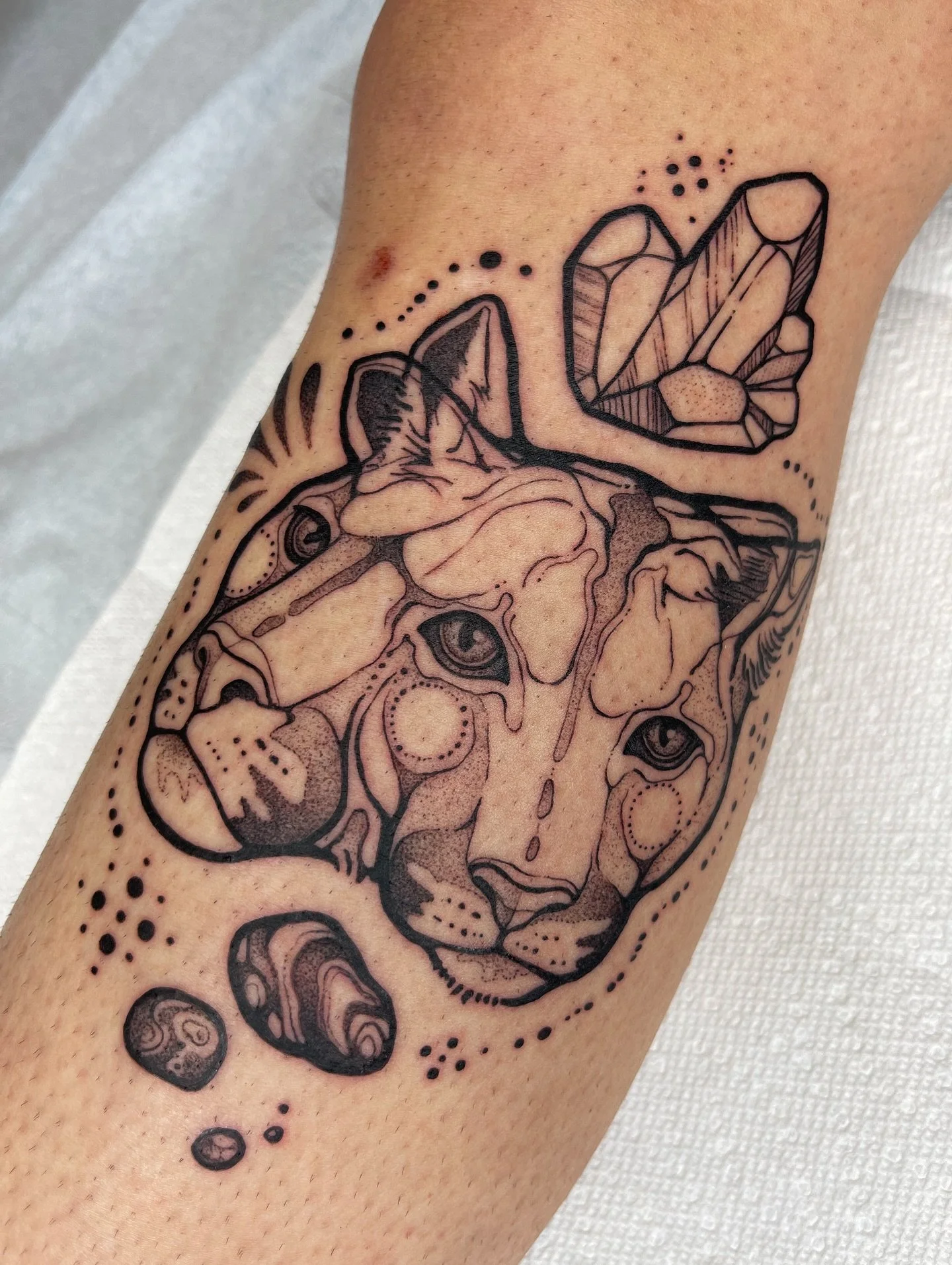 One of my favourites from last year. Love a thicc black line. Done in Nelson at @strangesocietytattoos. 
&bull;
&bull;
&bull;
&bull;
&bull;
&bull;
#blkttt #cattattoo #cougar #cat #linework #lineworktattoo #bctattooartist #okanagan #okanagantattoo #ca