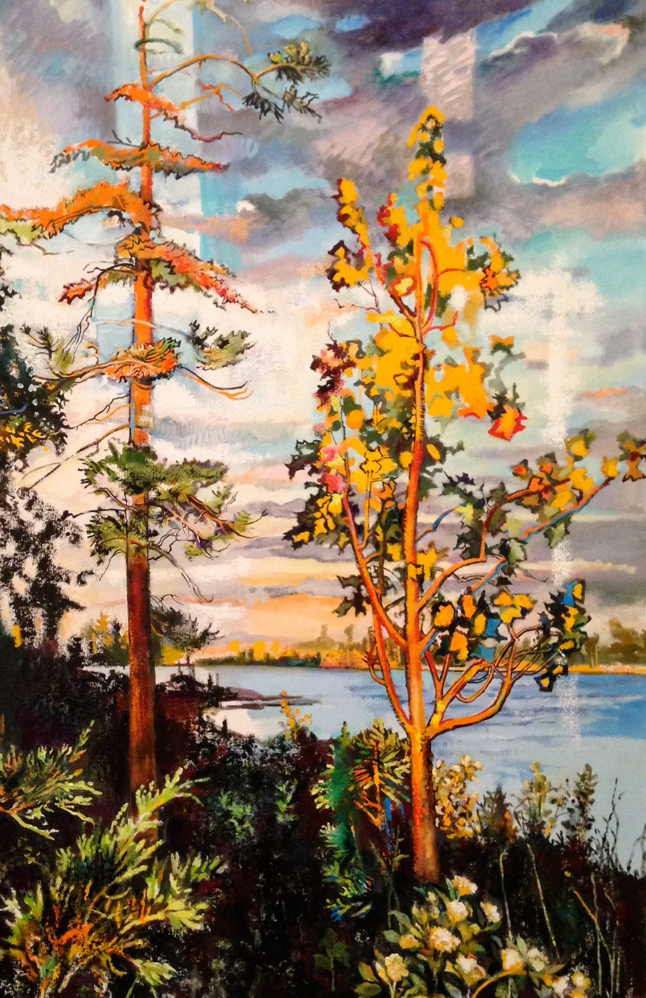 Two Trees, Late Light, Georgian Bay, Ontario, Canada