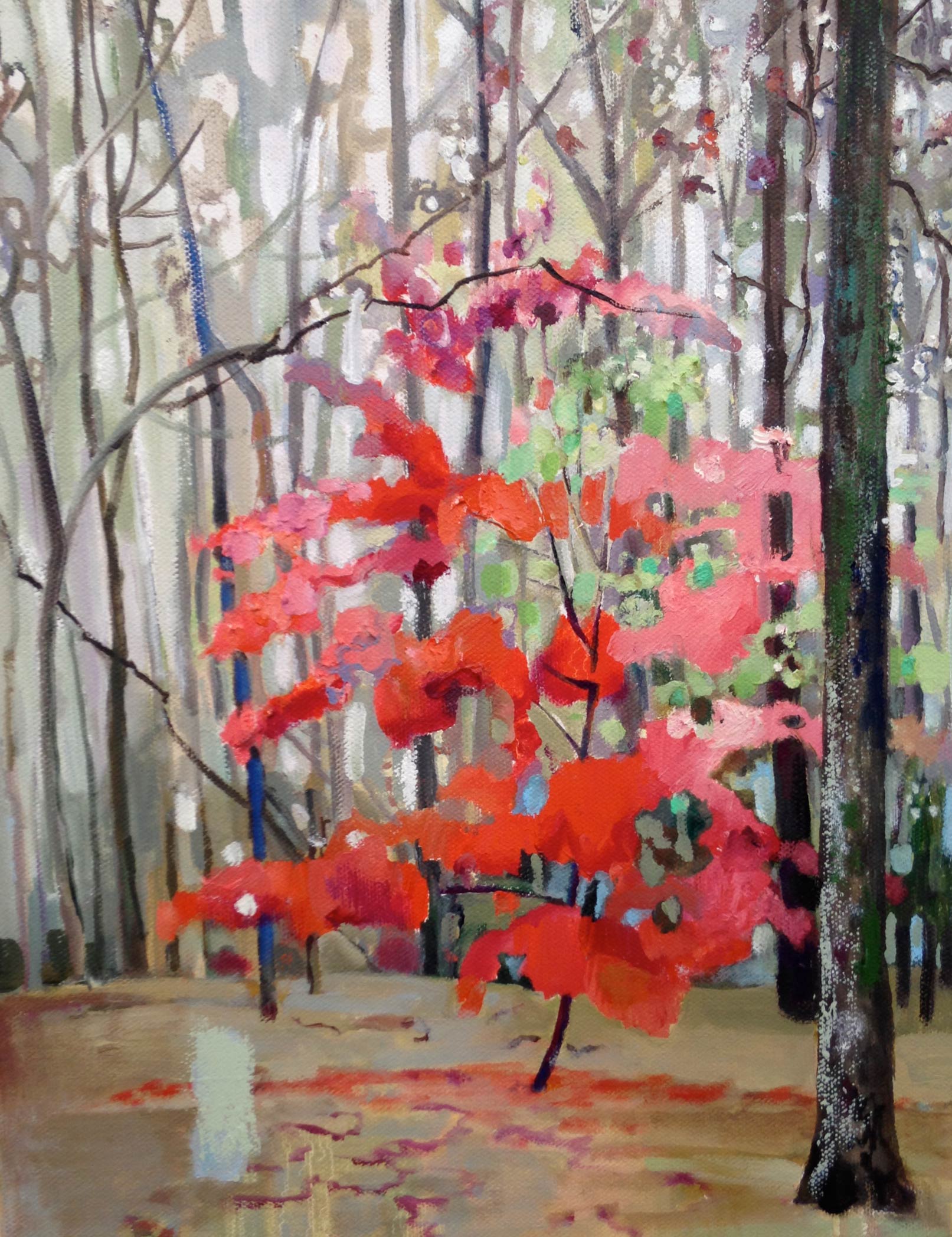    ‏Red Maple, Rainy Day &nbsp;  ‏oil and oil stick  14 x 11 inches, 2016 
