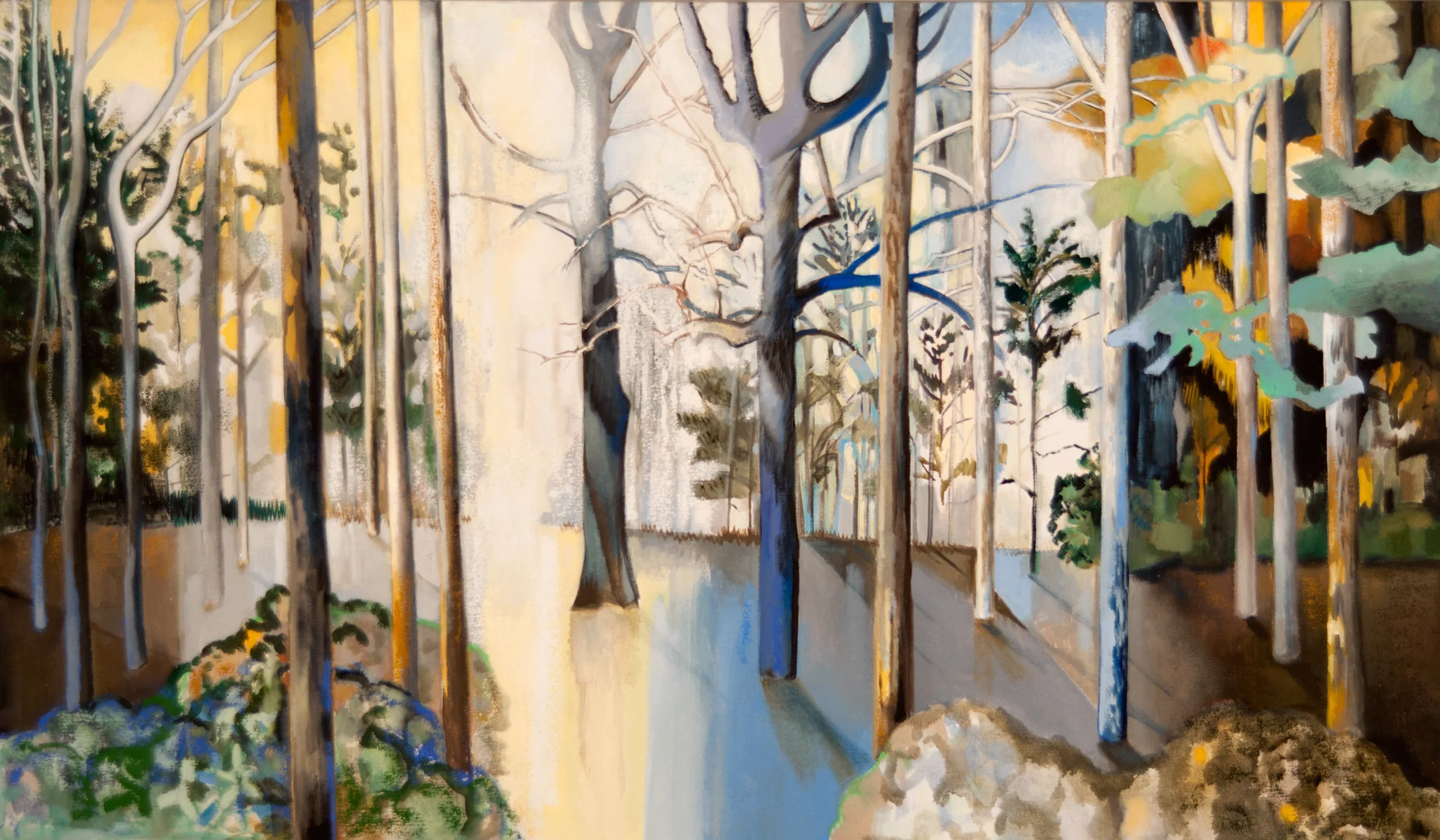 Luminous Woods
