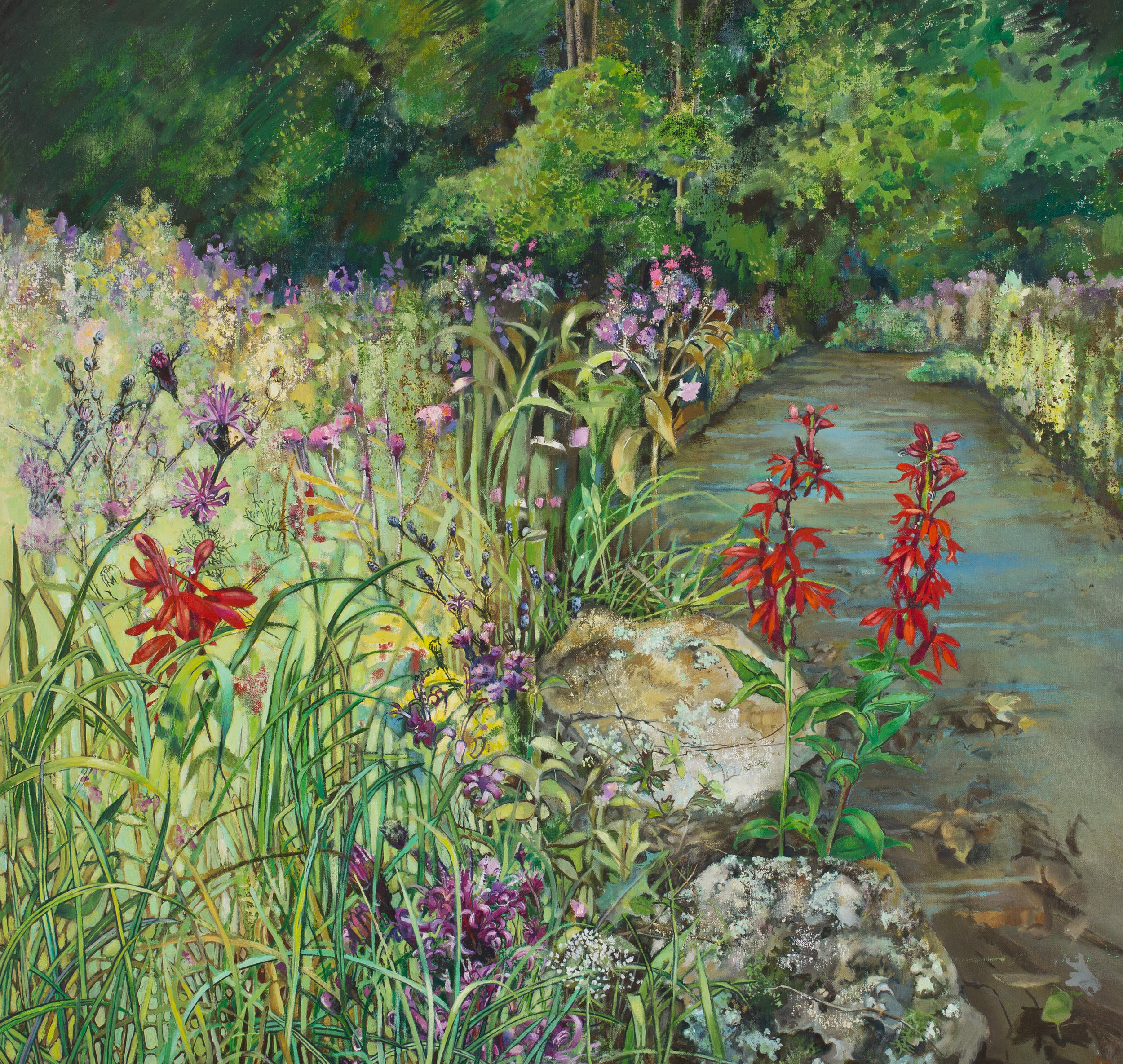 Cardinal Flowers, Meadow, Stream