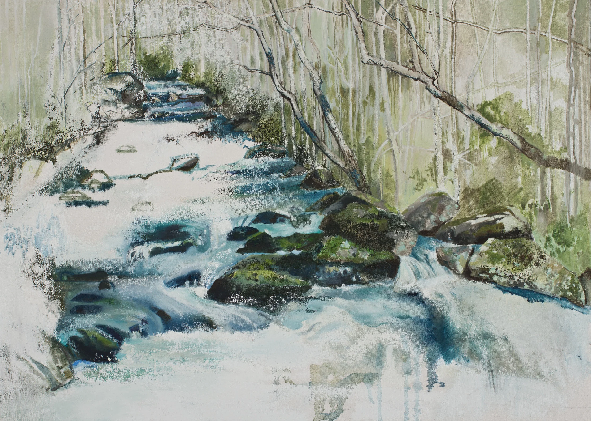 Little River, Smoky Mountains, North Carolina