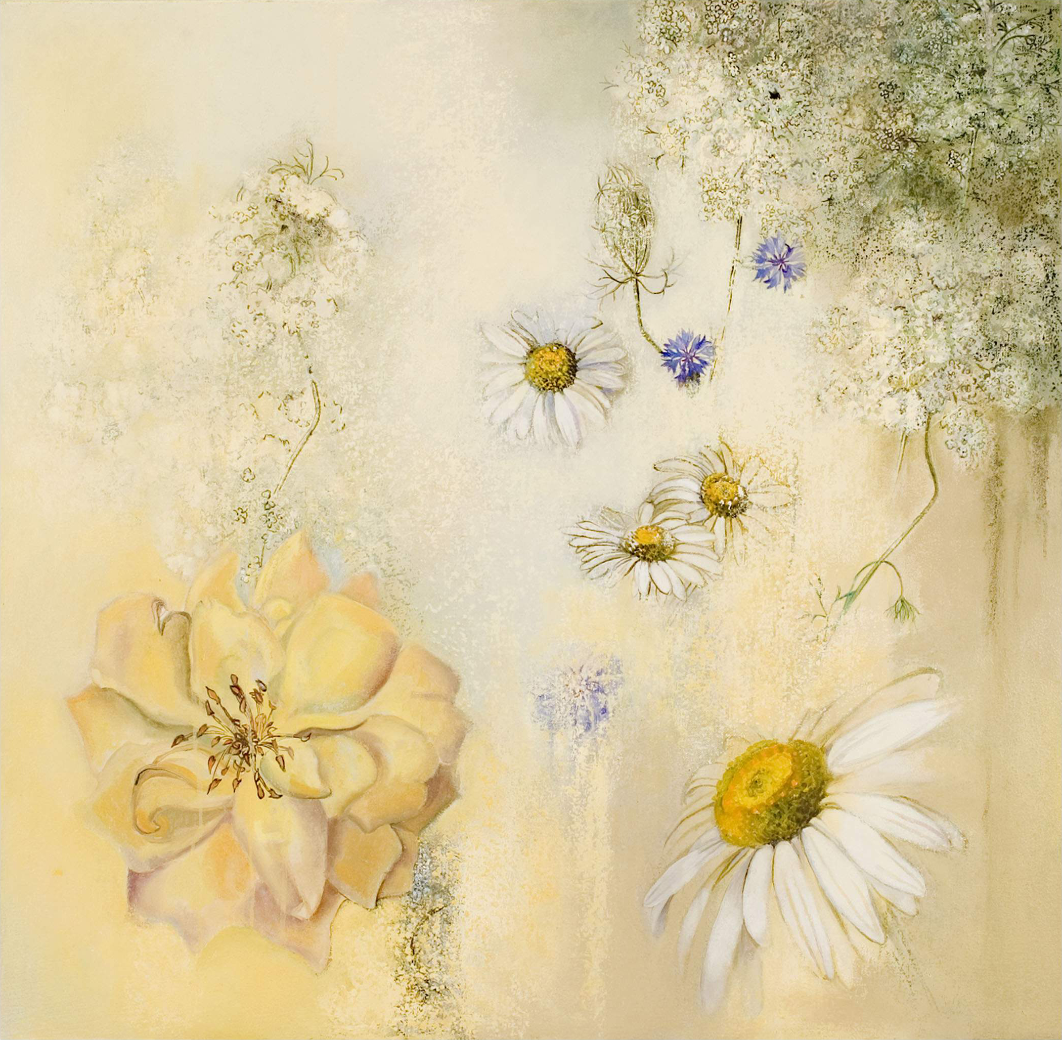 Roses and Queen Anne's Lace, oil and oil stick on canvas, 28 x 29 inches, 2007