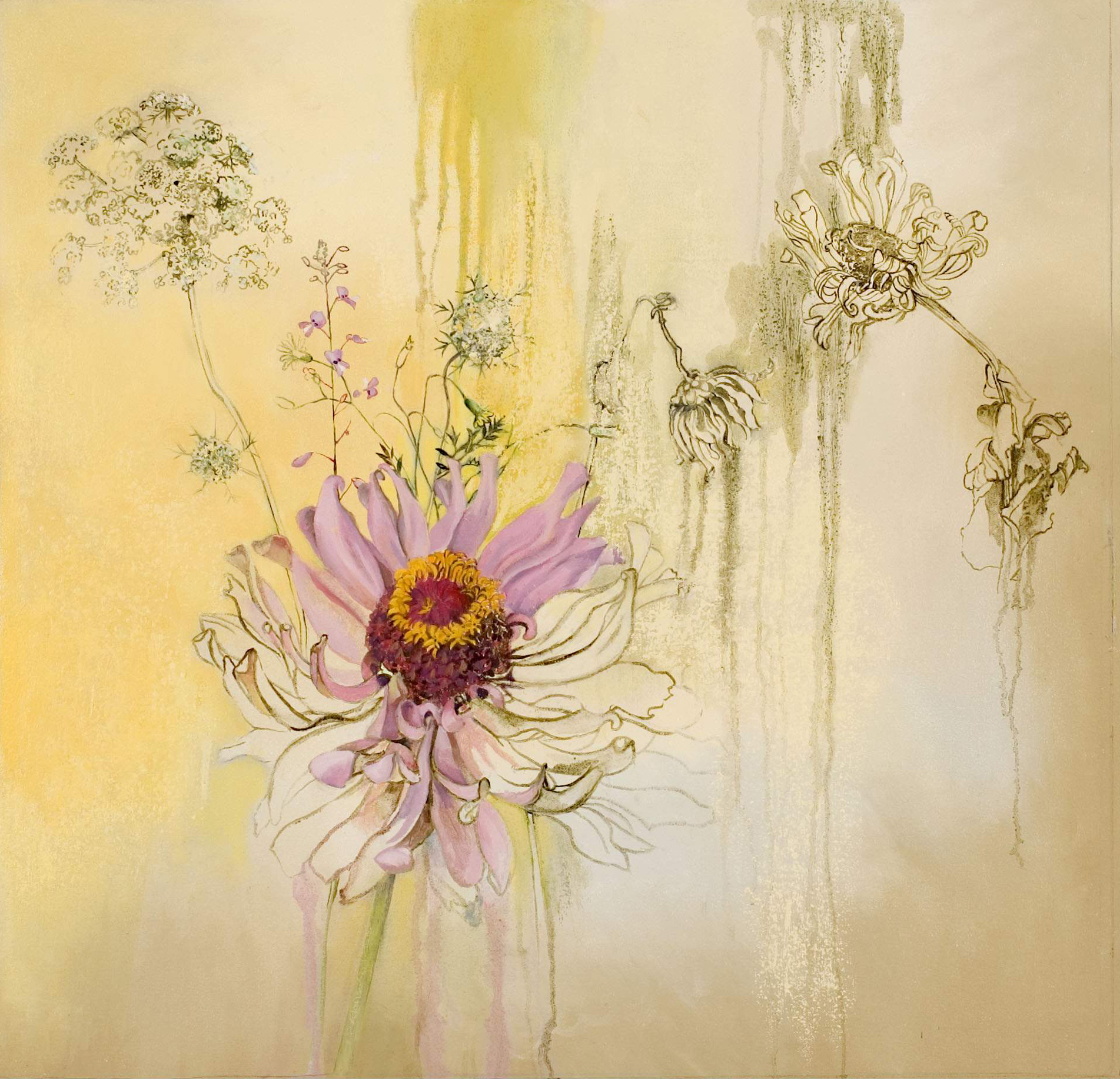 Zinnia and Queen Anne's Lace, oil and oil stick on canvas, 28 x 29 inches, 2007
