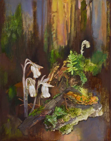 Indian Pipes