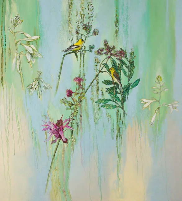 Goldfinch, Stick Verbena and Bee Balm