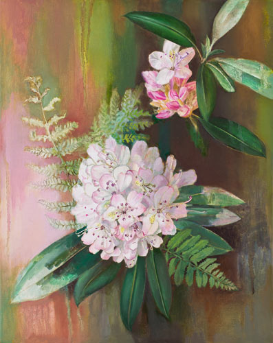 Rhododendron and Ferns 