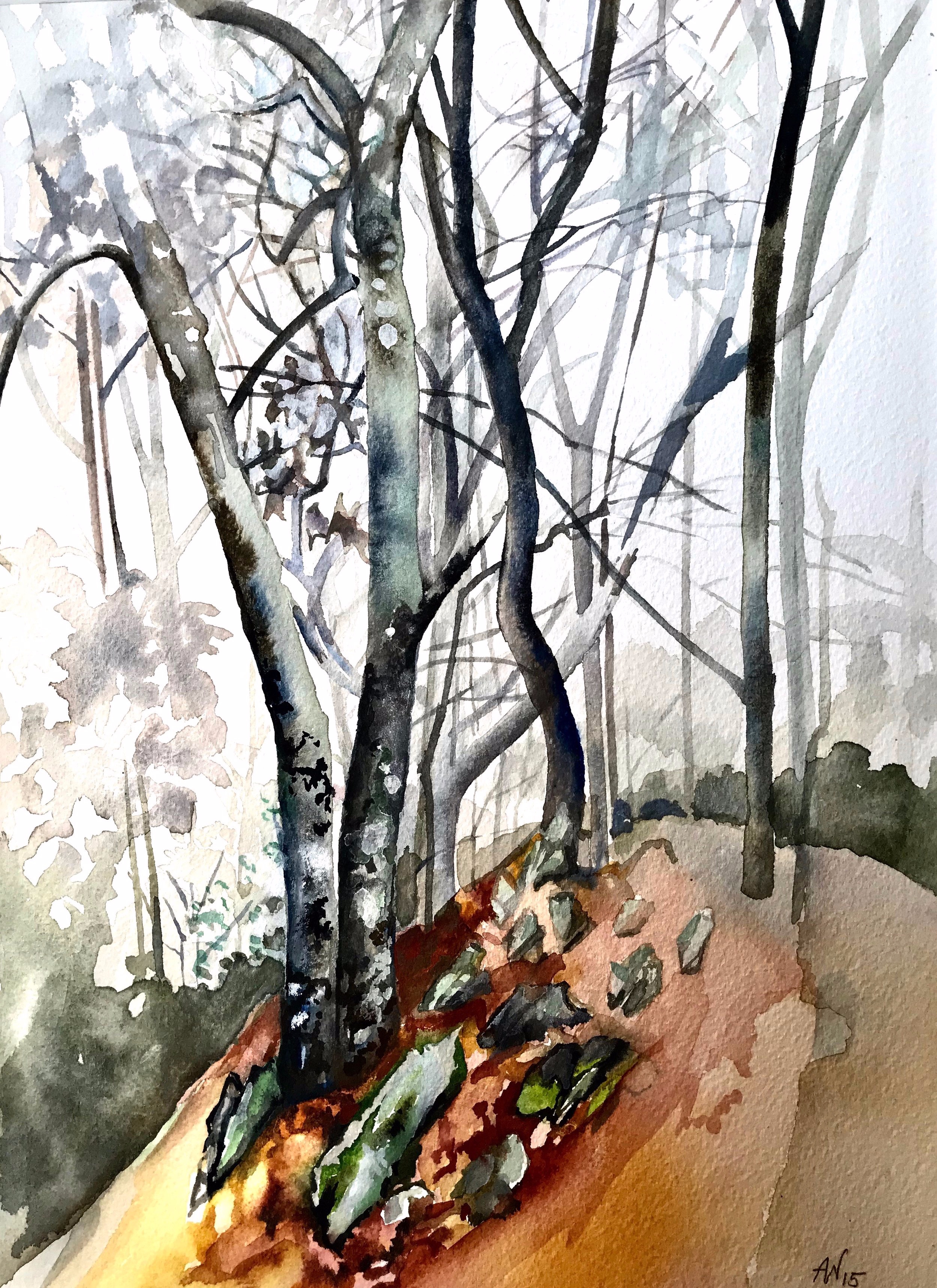 Mountain Mist