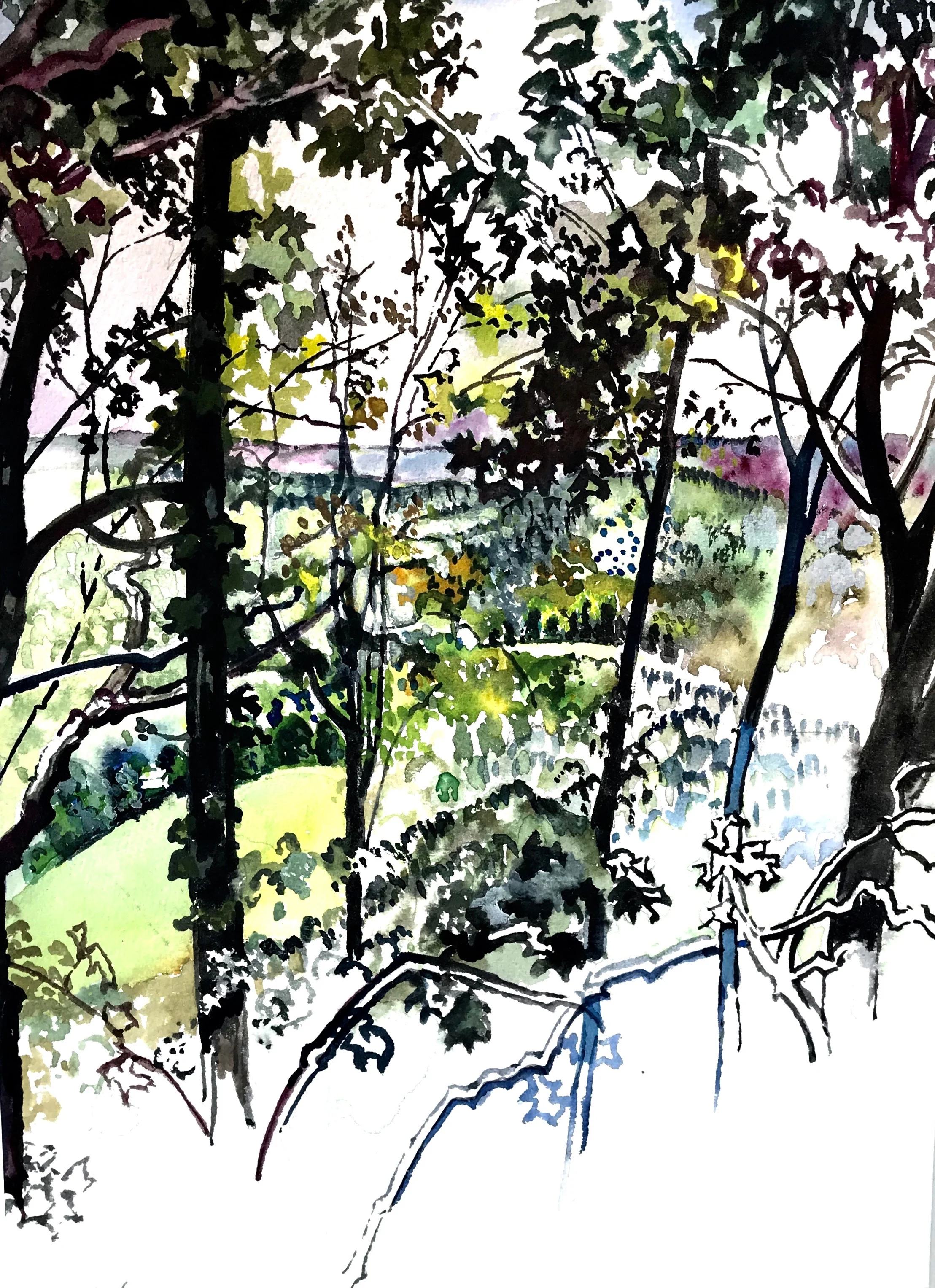 Trees, Blue Ridge Mountains
