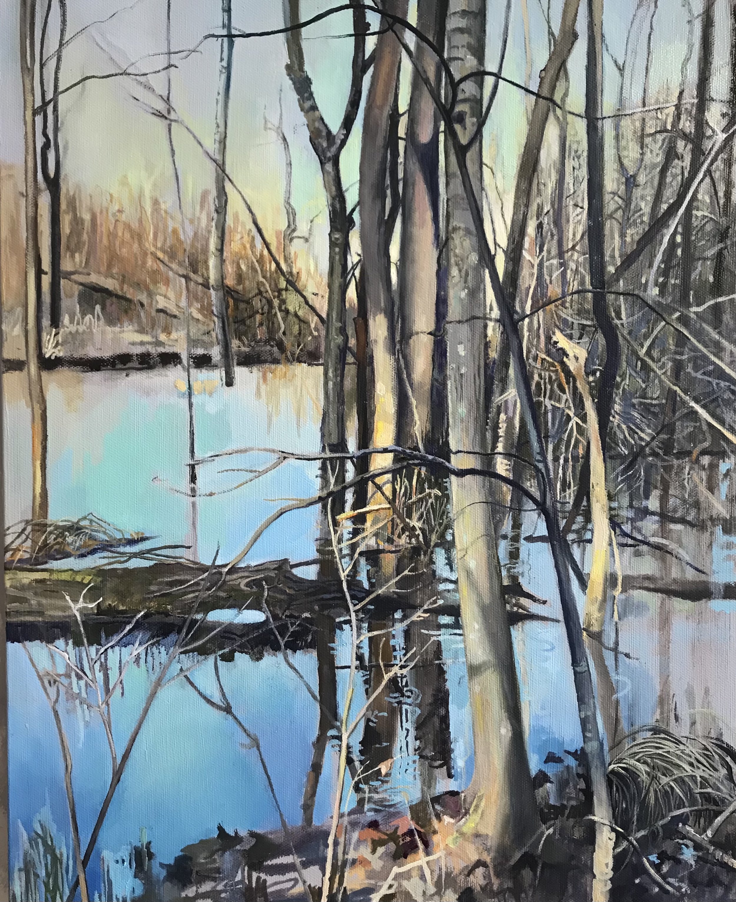 "Early Glow - Haw River Wetlands"   oil   20 x 16 inches   