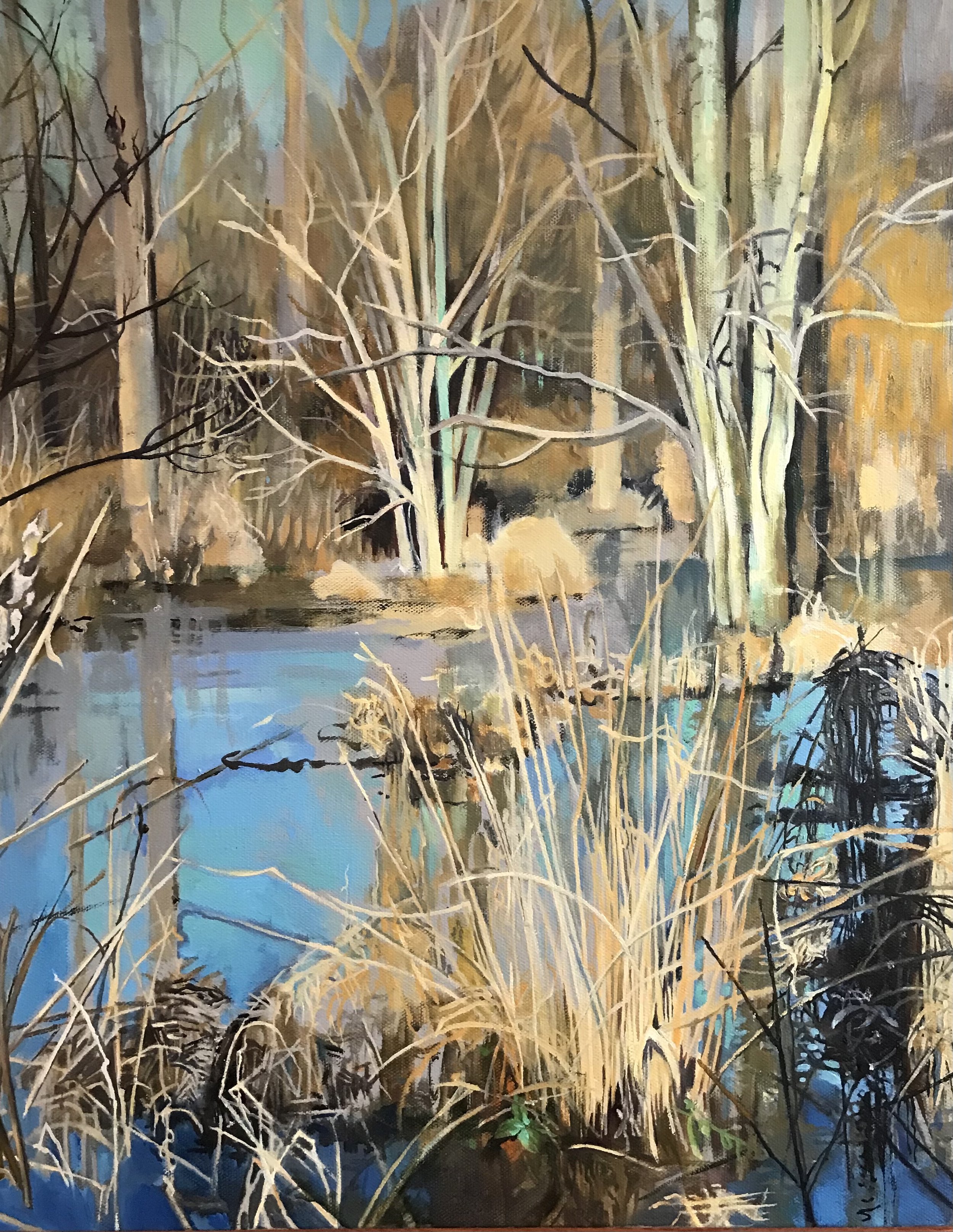 "Golden Light - Haw River Wetlands"   oil  20 x 16 inches      SOLD