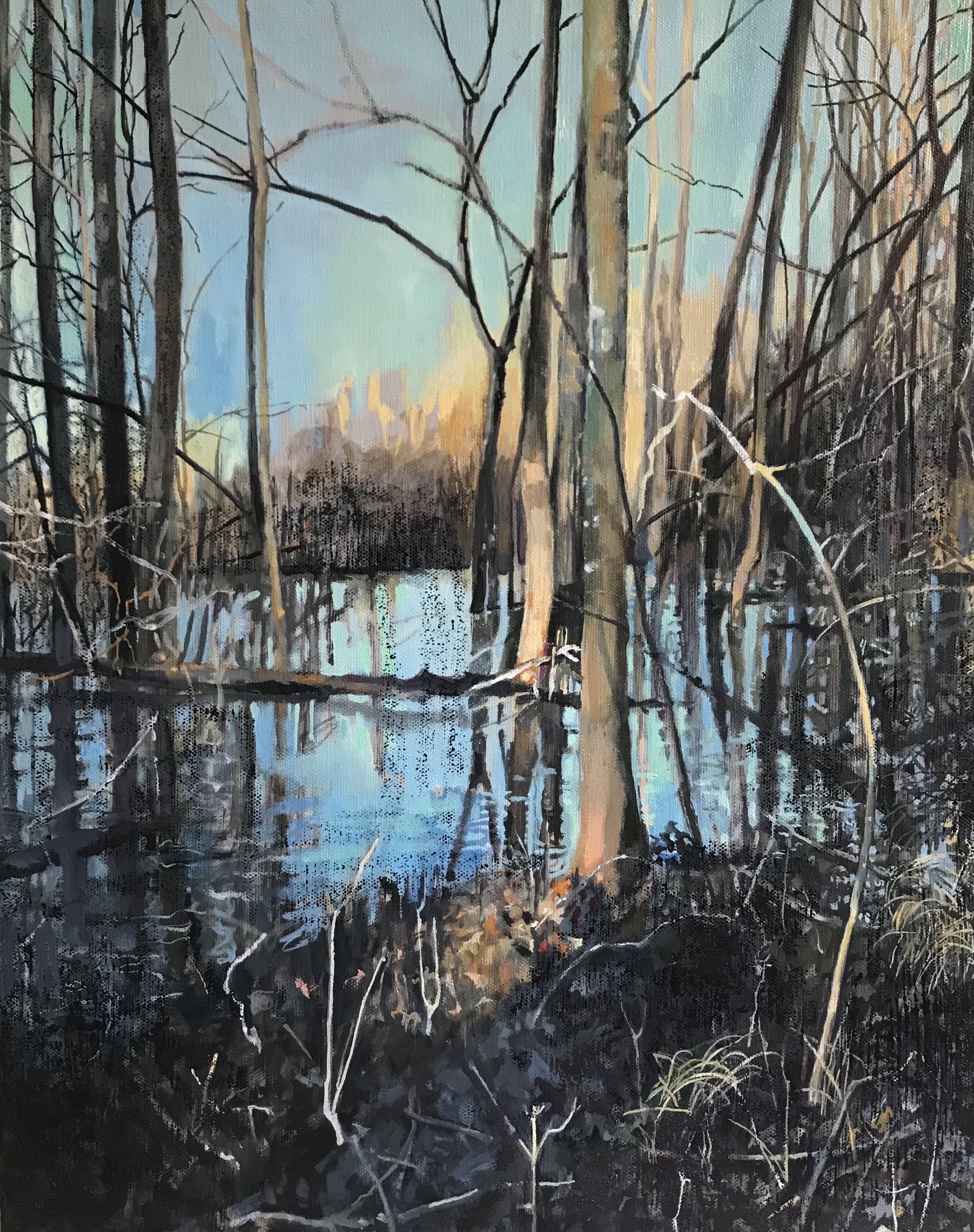 " Late Light- Haw River Wetlands"    oil   20 x 16 inches 