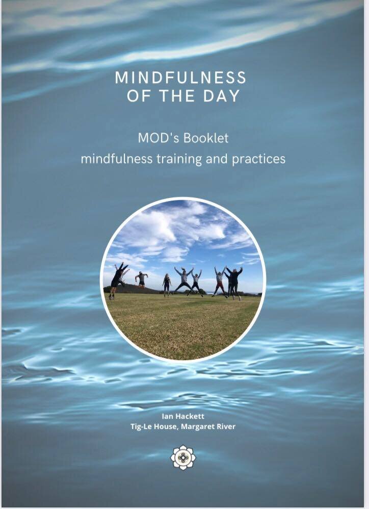 50+ page Mindfulness Manual Digital Copy