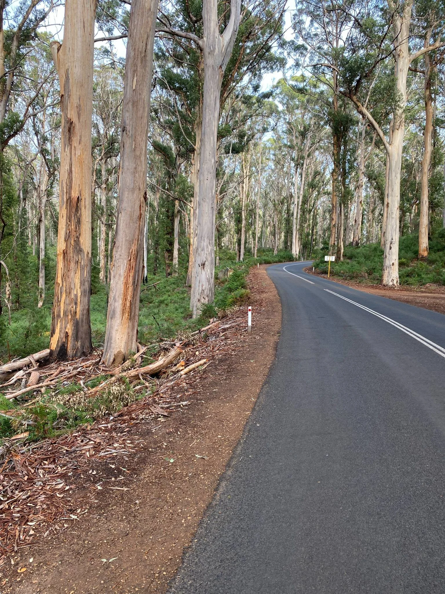 Our Health, Our Home.