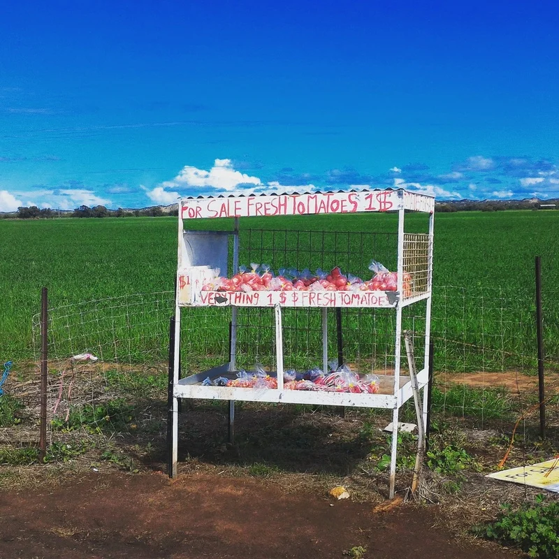 Tomato Stall