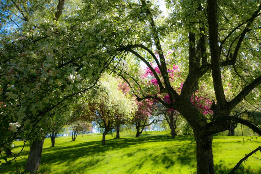 *SOLD OUT* Bellefield Garden Talk: Beatrix Farrand's Designs for Vassar College