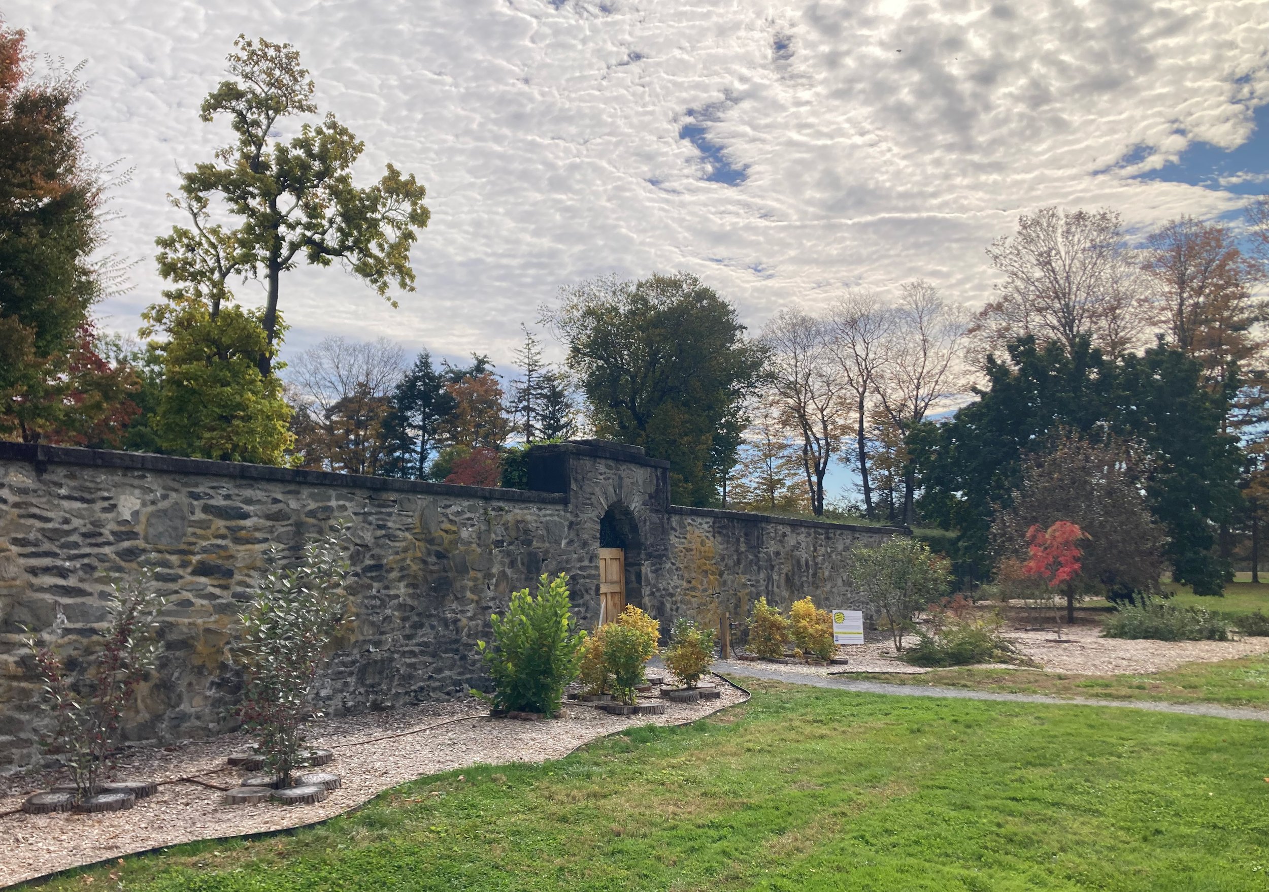 Site Assessment for Your Home Landscape