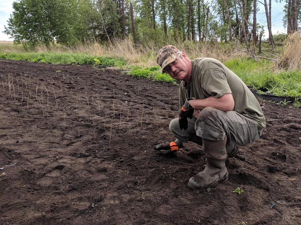 Collin and his Cherry plant seedlings