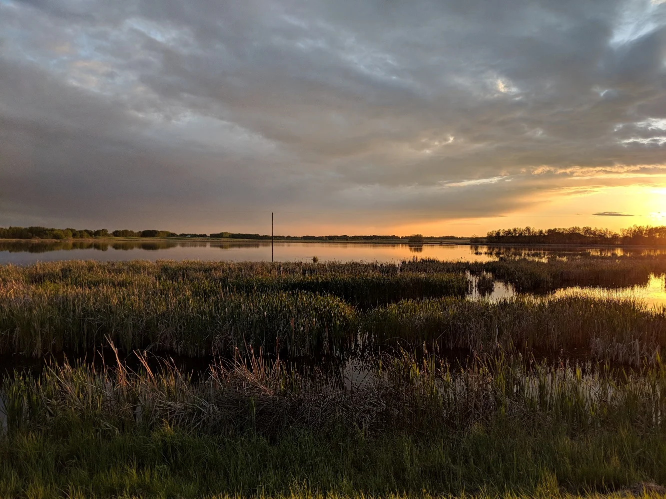 Sunset at Collin's