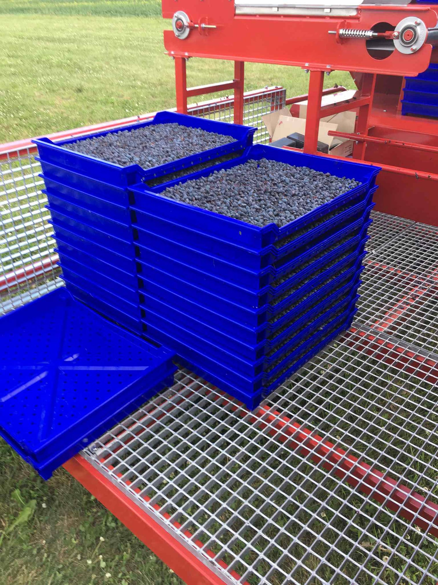 Berries on harvester.jpg